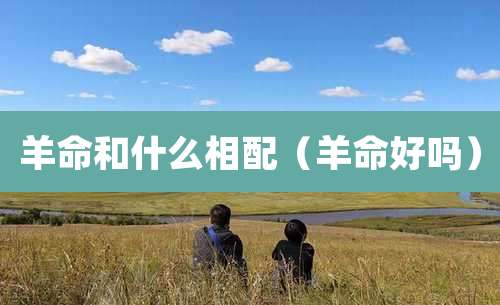 羊命和什么相配（羊命好吗）