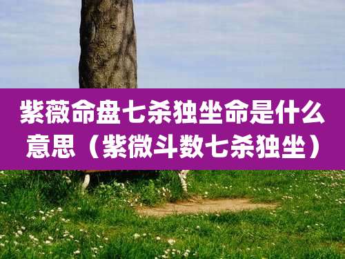 紫薇命盘七杀独坐命是什么意思（紫微斗数七杀独坐）