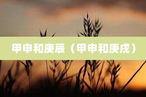 甲申和庚辰（甲申和庚戌）