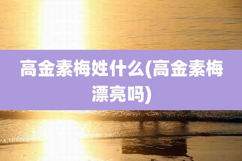 高金素梅姓什么(高金素梅漂亮吗)