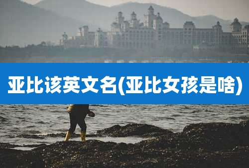 亚比该英文名(亚比女孩是啥)