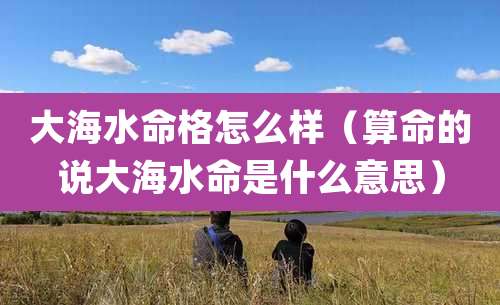 大海水命格怎么样（算命的说大海水命是什么意思）