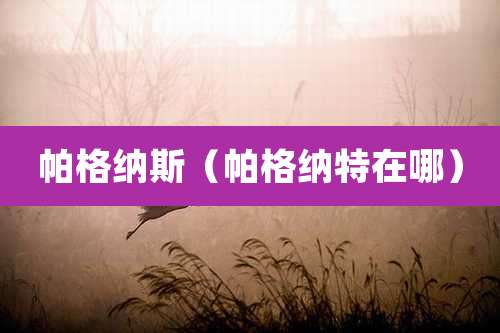 帕格纳斯（帕格纳特在哪）