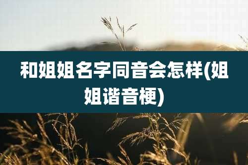 和姐姐名字同音会怎样(姐姐谐音梗)