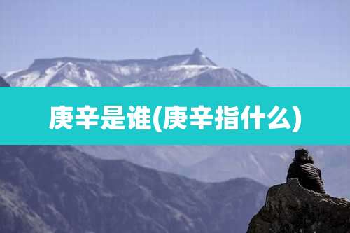 庚辛是谁(庚辛指什么)