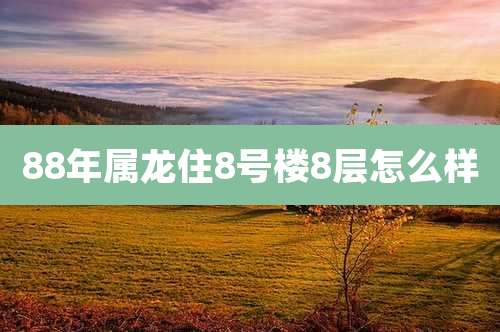 88年属龙住8号楼8层怎么样