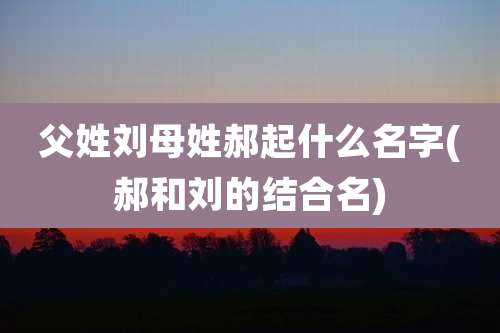 父姓刘母姓郝起什么名字(郝和刘的结合名)