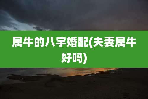 属牛的八字婚配(夫妻属牛好吗)