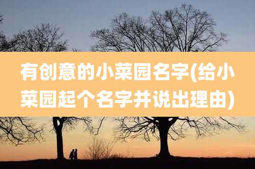 有创意的小菜园名字(给小菜园起个名字并说出理由)