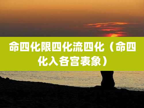 命四化限四化流四化（命四化入各宫表象）