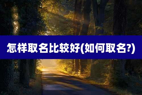 怎样取名比较好(如何取名?)