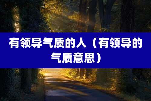 有领导气质的人（有领导的气质意思）