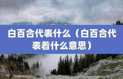 白百合代表什么（白百合代表着什么意思）