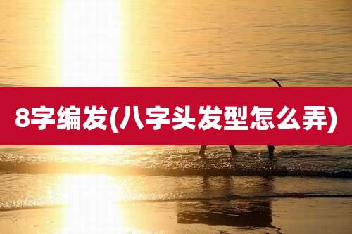 8字编发(八字头发型怎么弄)