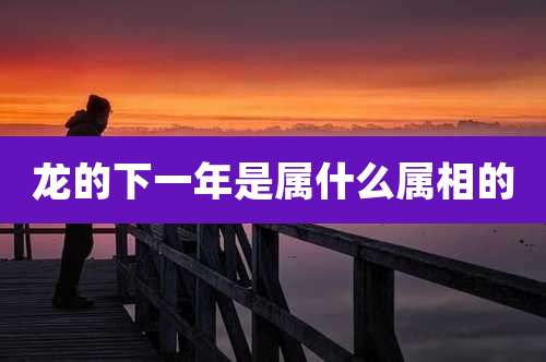 龙的下一年是属什么属相的