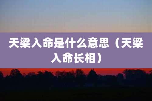天梁入命是什么意思（天梁入命长相）