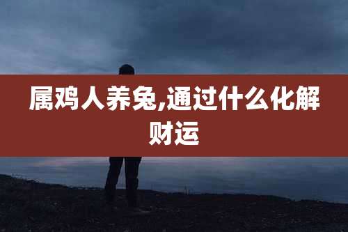 属鸡人养兔,通过什么化解财运