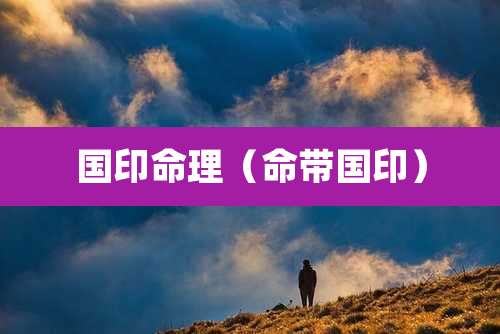 国印命理（命带国印）