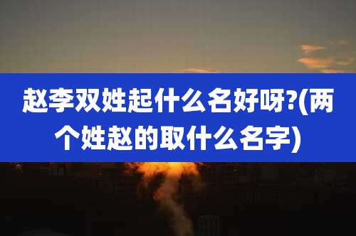 赵李双姓起什么名好呀?(两个姓赵的取什么名字)