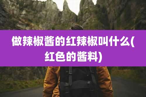 做辣椒酱的红辣椒叫什么(红色的酱料)