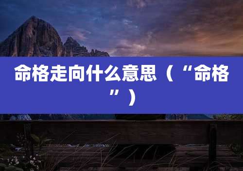 命格走向什么意思（“命格”）