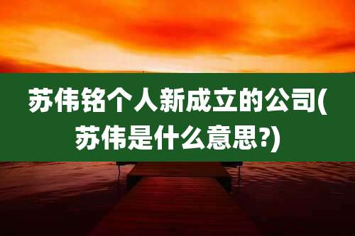 苏伟铭个人新成立的公司(苏伟是什么意思?)