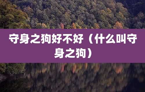 守身之狗好不好（什么叫守身之狗）