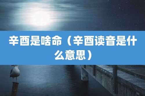 辛酉是啥命（辛酉读音是什么意思）