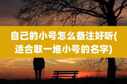 自己的小号怎么备注好听(适合取一堆小号的名字)