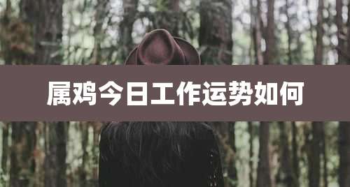 属鸡今日工作运势如何