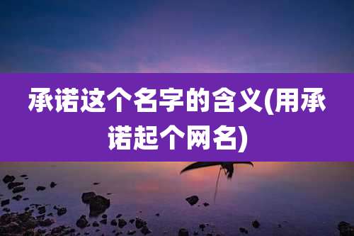 承诺这个名字的含义(用承诺起个网名)