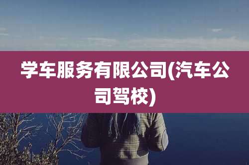 学车服务有限公司(汽车公司驾校)