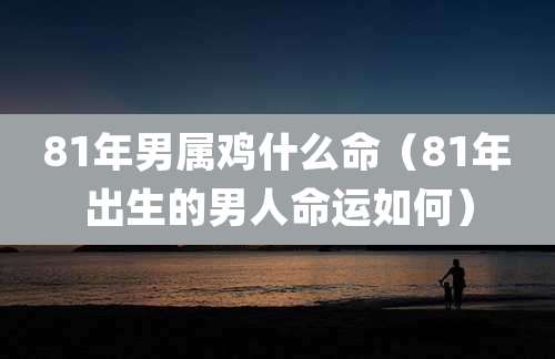 81年男属鸡什么命（81年出生的男人命运如何）