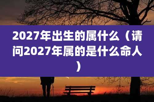 2027年出生的属什么（请问2027年属的是什么命人）