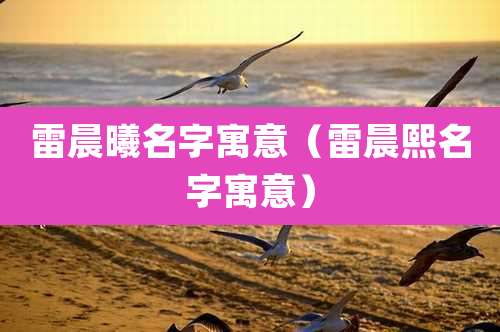 雷晨曦名字寓意（雷晨熙名字寓意）