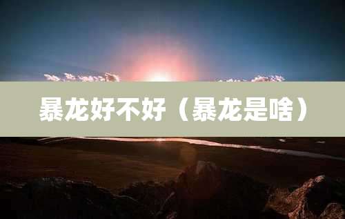 暴龙好不好（暴龙是啥）
