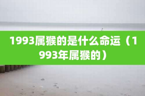 1993属猴的是什么命运（1993年属猴的）