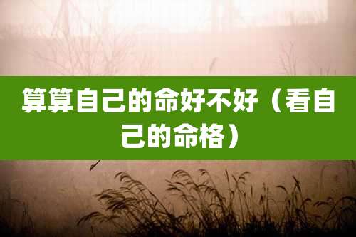 算算自己的命好不好（看自己的命格）