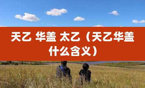 天乙 华盖 太乙（天乙华盖什么含义）