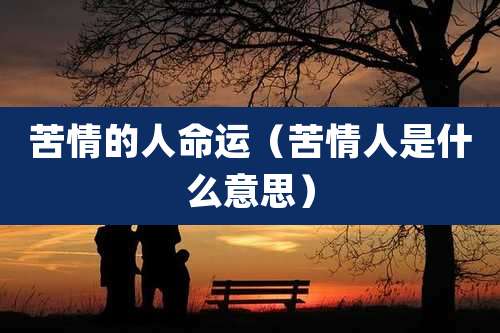 苦情的人命运（苦情人是什么意思）
