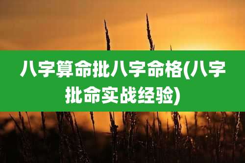 八字算命批八字命格(八字批命实战经验)