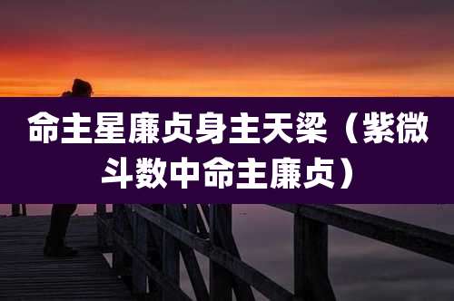 命主星廉贞身主天梁（紫微斗数中命主廉贞）