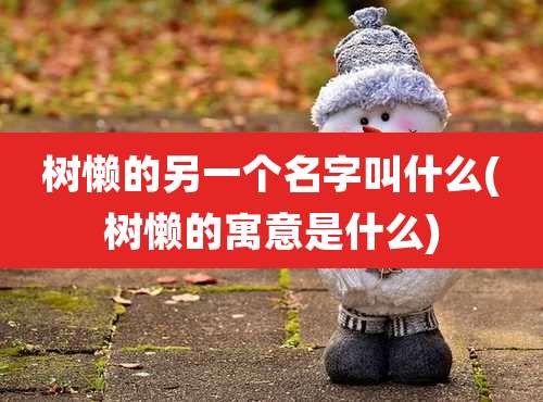 树懒的另一个名字叫什么(树懒的寓意是什么)