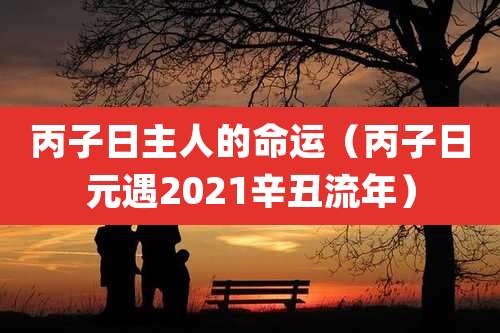 丙子日主人的命运（丙子日元遇2021辛丑流年）