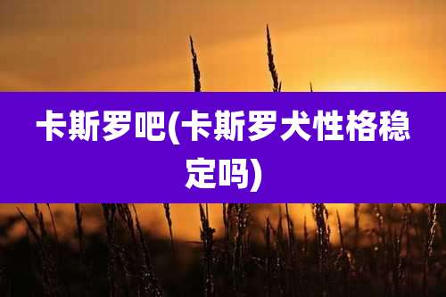 卡斯罗吧(卡斯罗犬性格稳定吗)