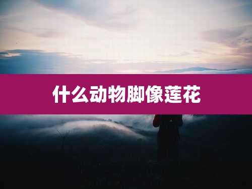 什么动物脚像莲花