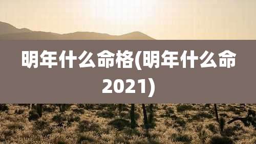 明年什么命格(明年什么命2021)