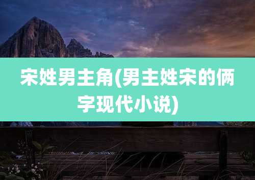 宋姓男主角(男主姓宋的俩字现代小说)