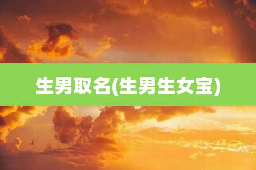 生男取名(生男生女宝)
