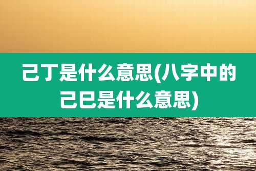 己丁是什么意思(八字中的己巳是什么意思)